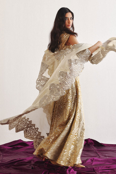 NET CAPE WITH APPLIQUEWORK