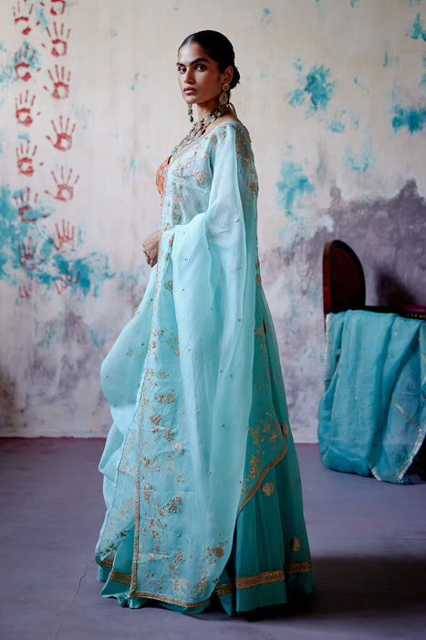 Powder Blue Brocade lehenga Set