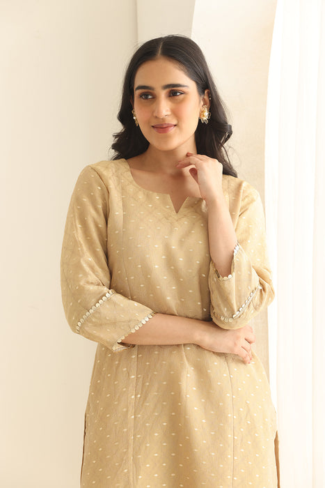 Dastaan beige Banarsi Tissue set