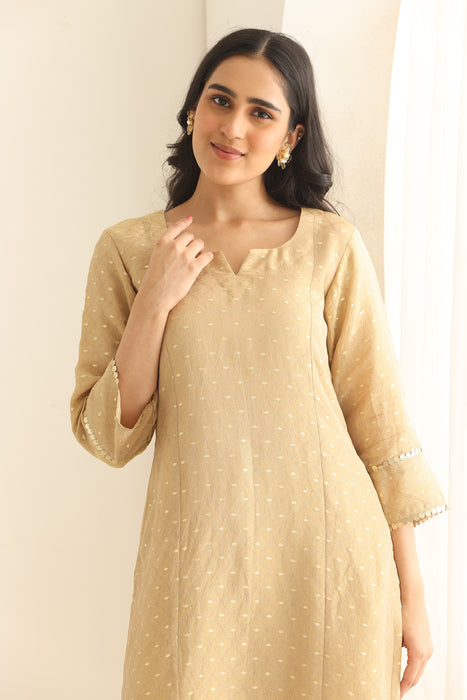 Dastaan beige Banarsi Tissue set