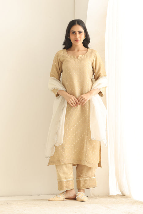 Dastaan beige Banarsi Tissue set