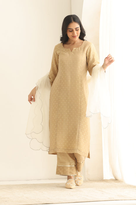 Dastaan beige Banarsi Tissue set