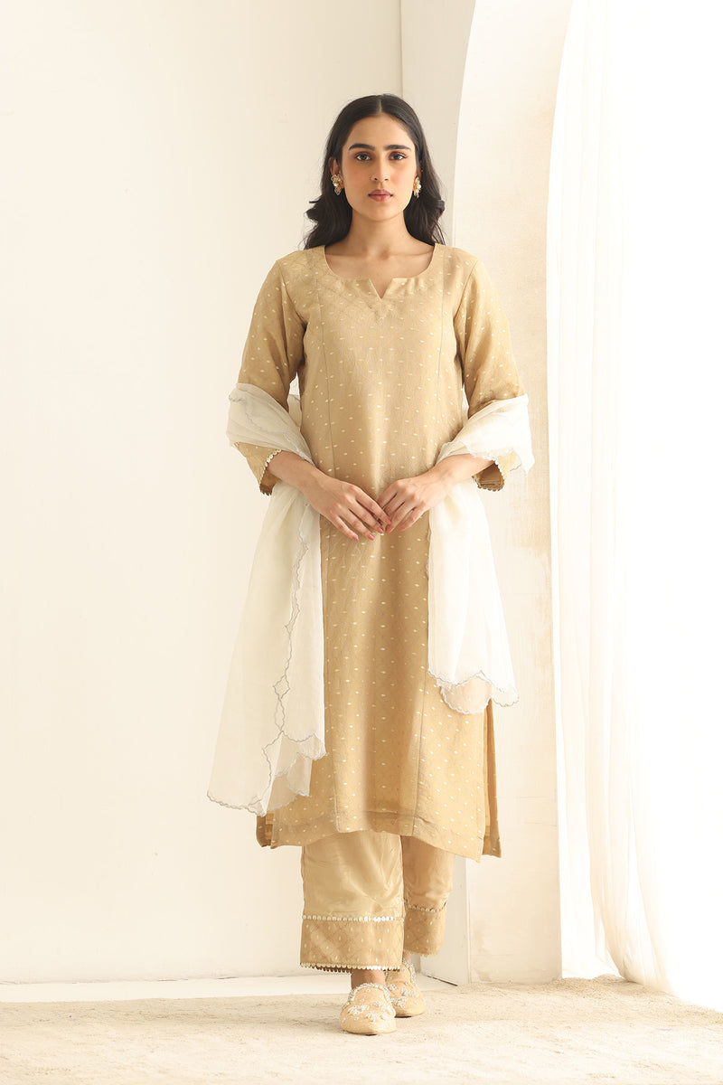 Dastaan beige Banarsi Tissue set