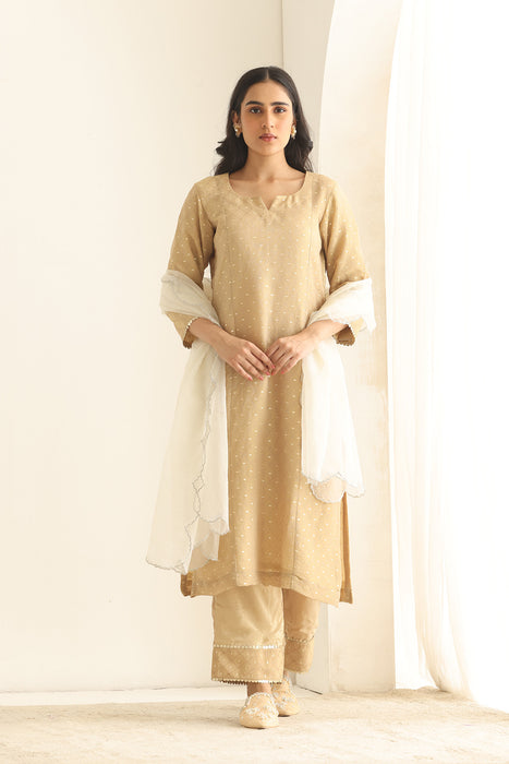 Dastaan beige Banarsi Tissue set