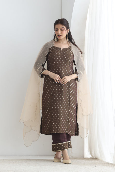 Saira Brown Banarsi Tissue set