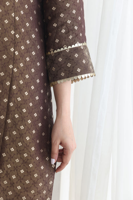 Saira Brown Banarsi Tissue set