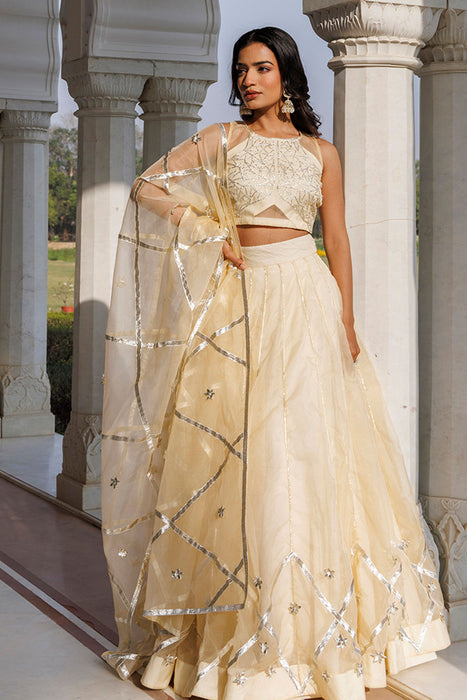 Petal Yellow Organza Lehenga Set