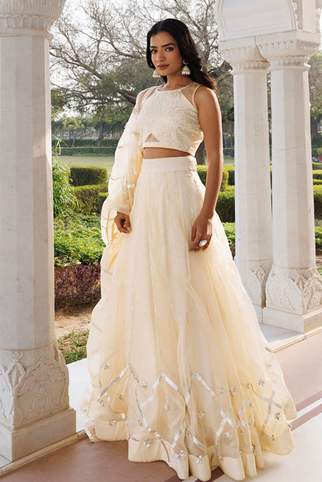 Petal Yellow Organza Lehenga Set