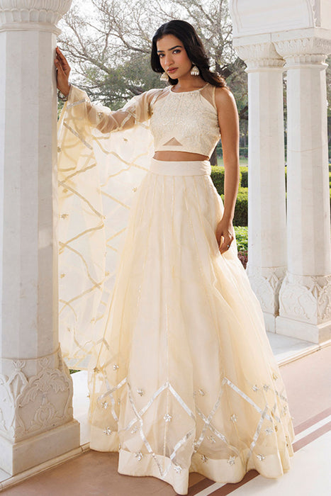Petal Yellow Organza Lehenga Set