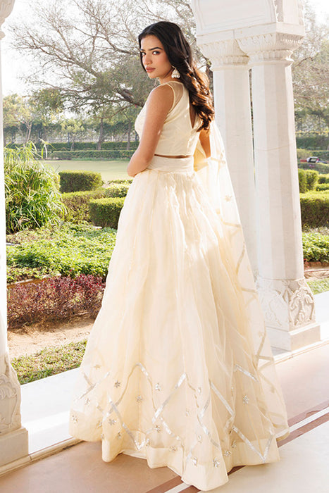 Petal Yellow Organza Lehenga Set