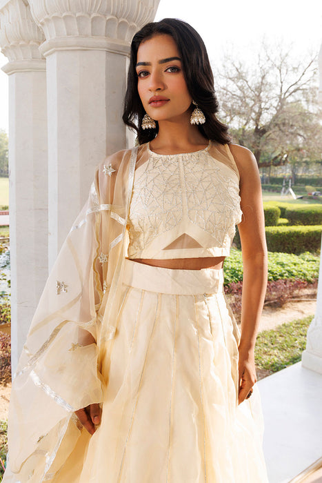 Petal Yellow Organza Lehenga Set