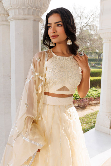 Petal Yellow Organza Lehenga Set