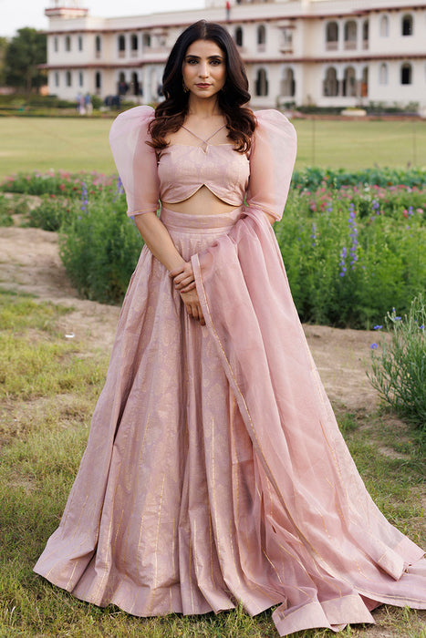 Rose Shadow Pink Handblock Printed Lehenga Set