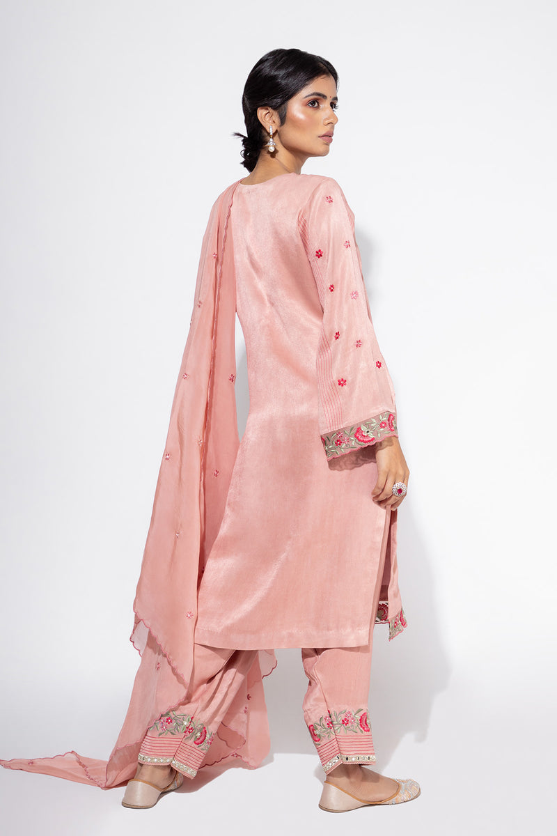 Pink Organza Panel Embroidered Kurta & Salwar set