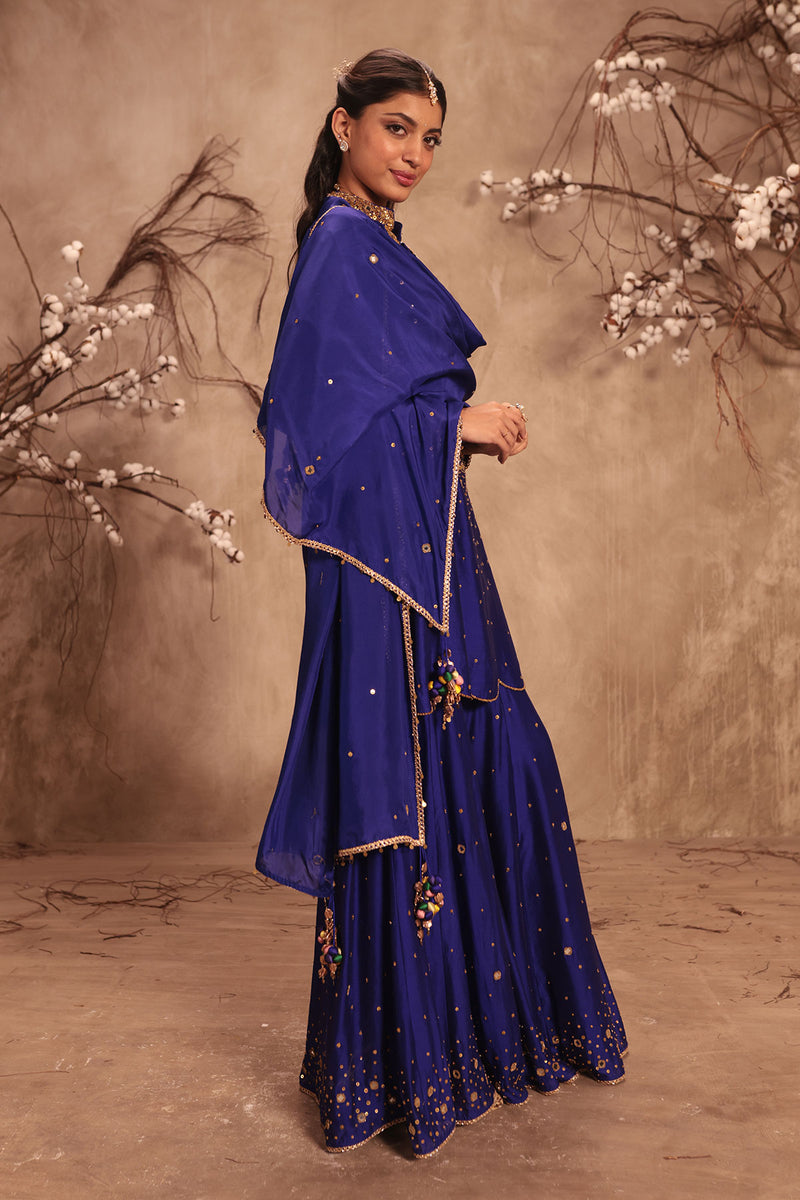 Nazakat Indigo Heavy Mirror Work Sharara Set