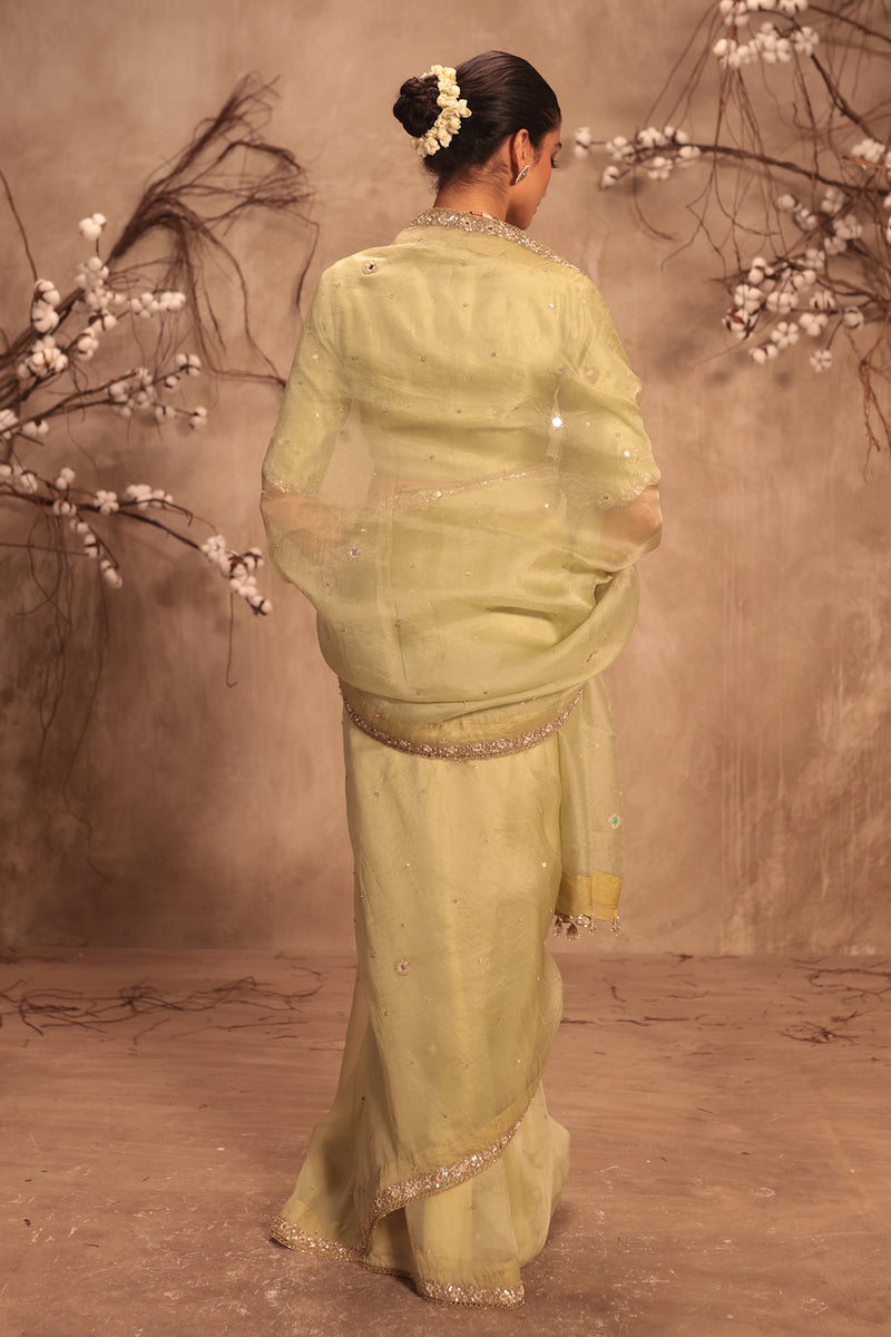 Nazakat Light Green Organza Mirror Work Saree Set