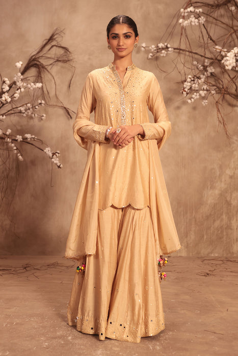 Nazakat Ivory Heavy Mirror Work Sharara Set