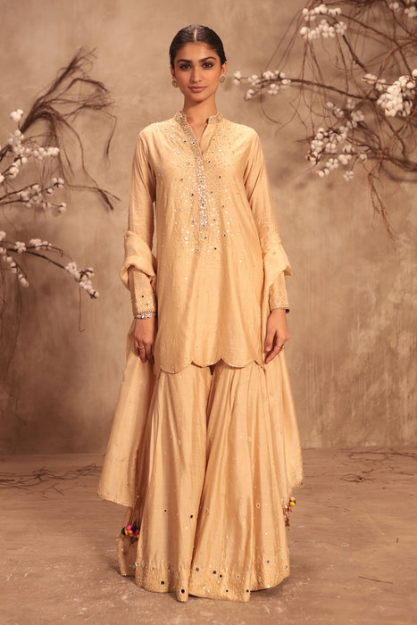 Nazakat Ivory Heavy Mirror Work Sharara Set