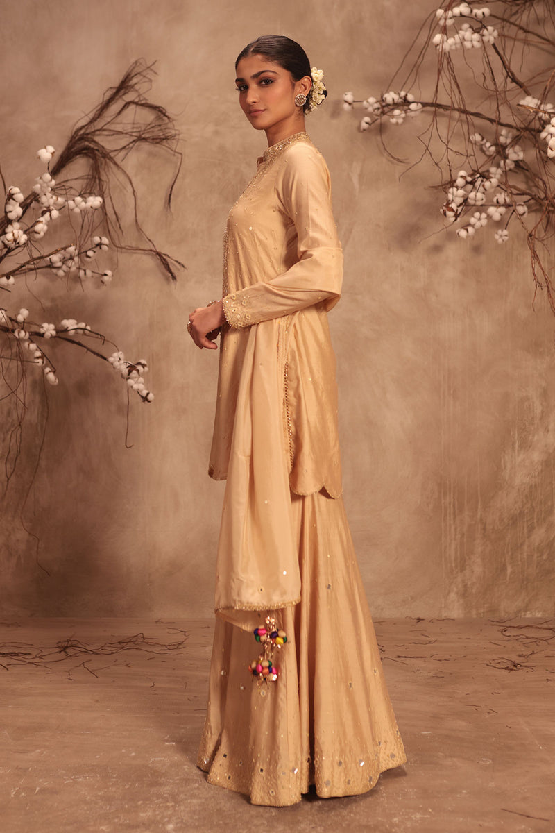 Nazakat Ivory Heavy Mirror Work Sharara Set
