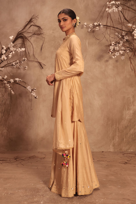 Nazakat Ivory Heavy Mirror Work Sharara Set