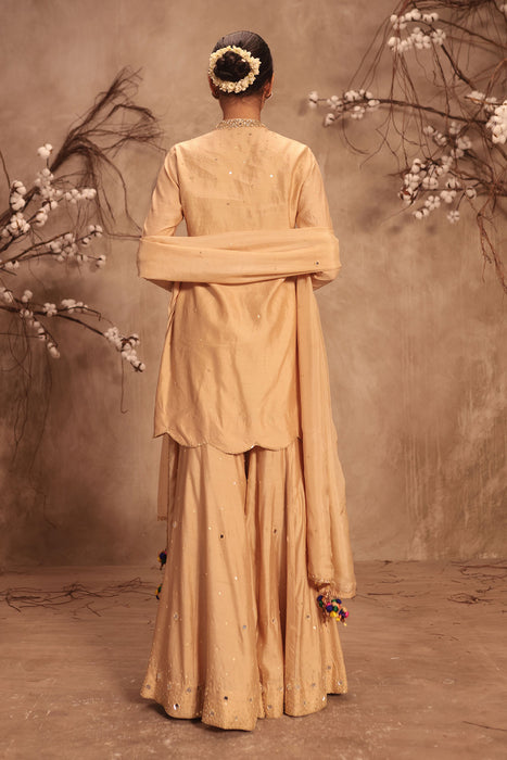 Nazakat Ivory Heavy Mirror Work Sharara Set