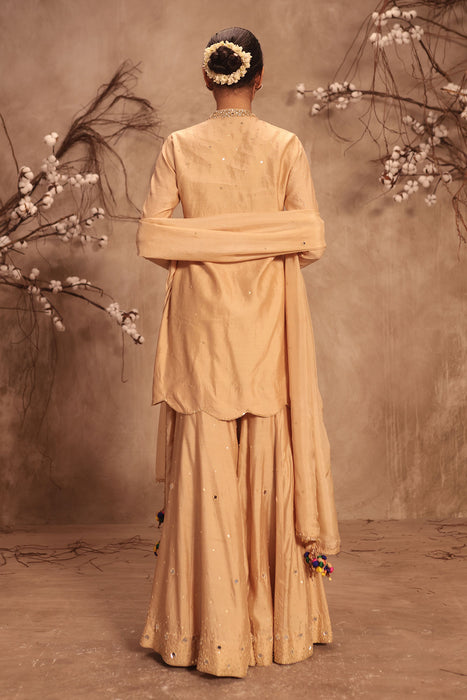 Nazakat Ivory Heavy Mirror Work Sharara Set