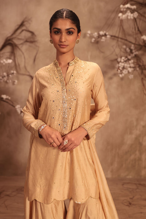 Nazakat Ivory Heavy Mirror Work Sharara Set