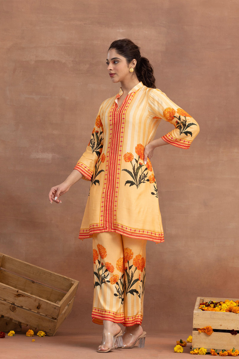 Saami -Placement Coord Set