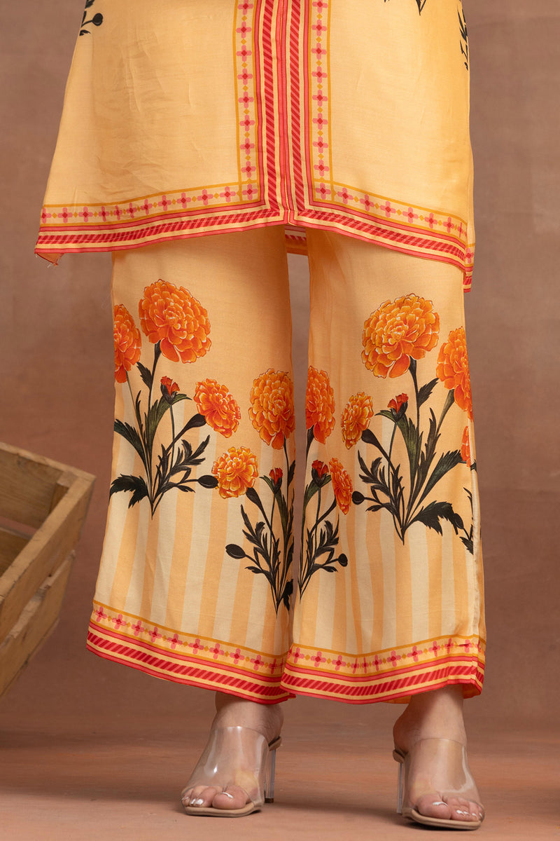 Saami -Placement Coord Set