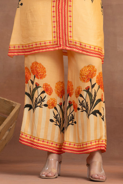 Saami -Placement Coord Set