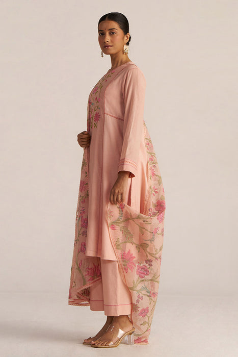 Pale Blush Embroidered and Woven Kurta Set