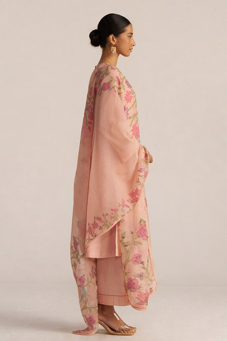 Pale Blush Embroidered and Woven Kurta Set