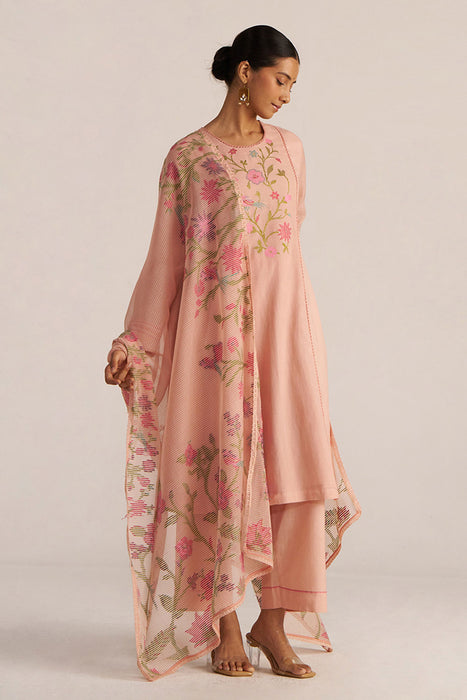 Pale Blush Embroidered and Woven Kurta Set