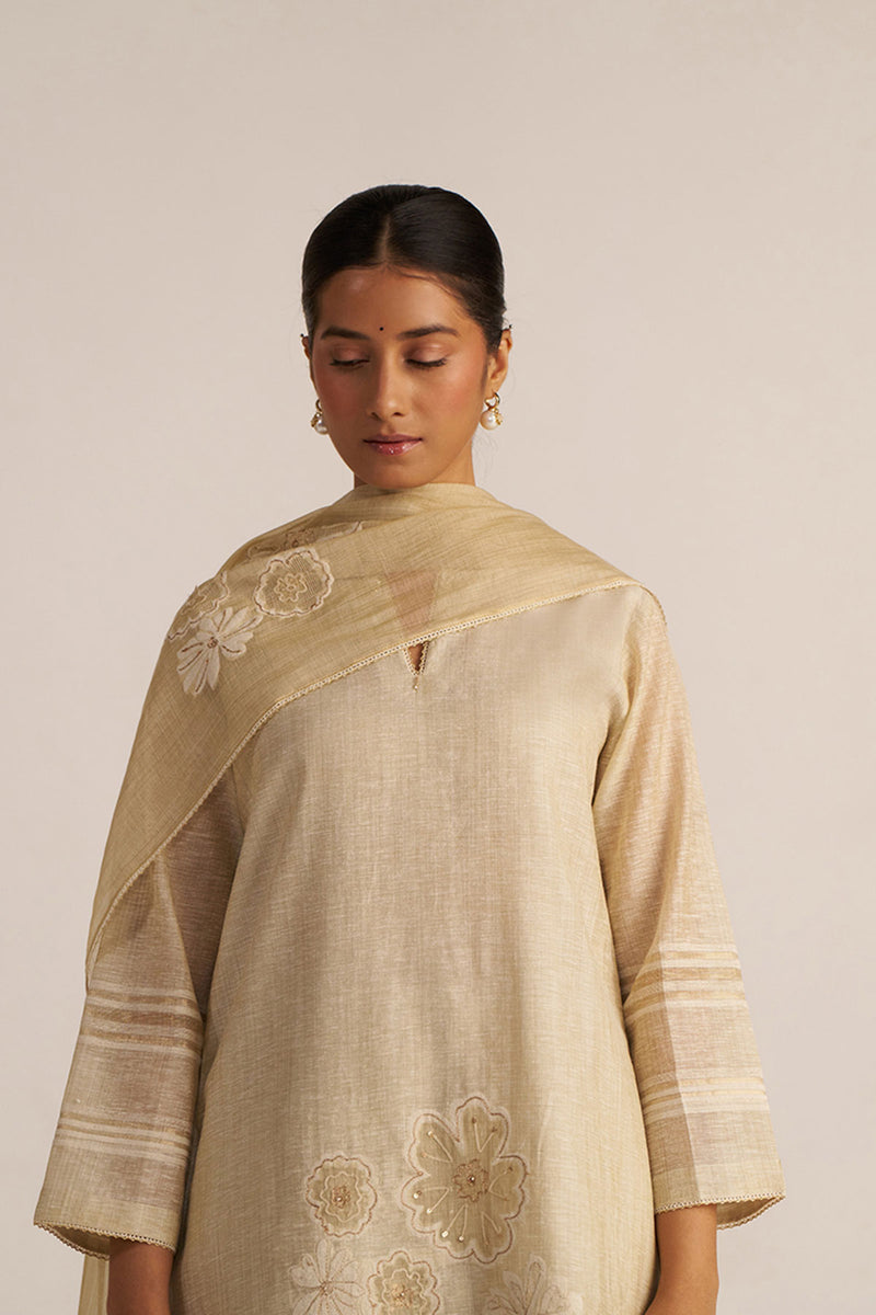 Fog Beige Woven Kurta Set