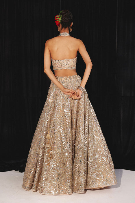 DIAMOND & PAISLEY TULLE MIRROR ACWORKLEHENGA SET