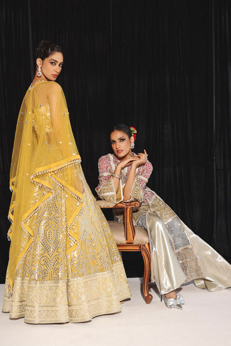 CHIKANKARI MIRRORWORK BOX PLEAT LEHENGA SET