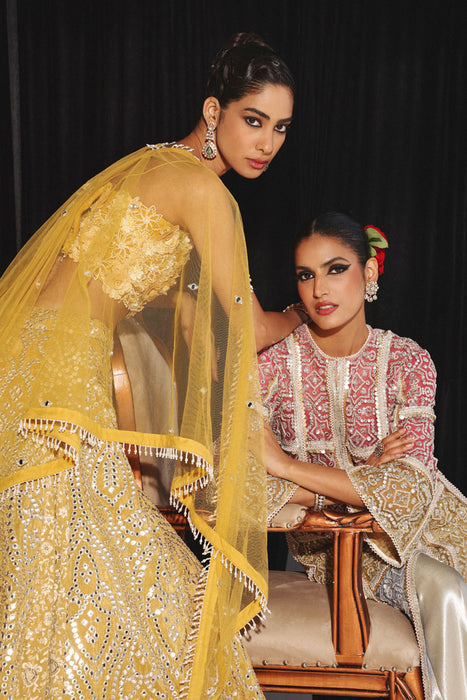 CHIKANKARI MIRRORWORK BOX PLEAT LEHENGA SET