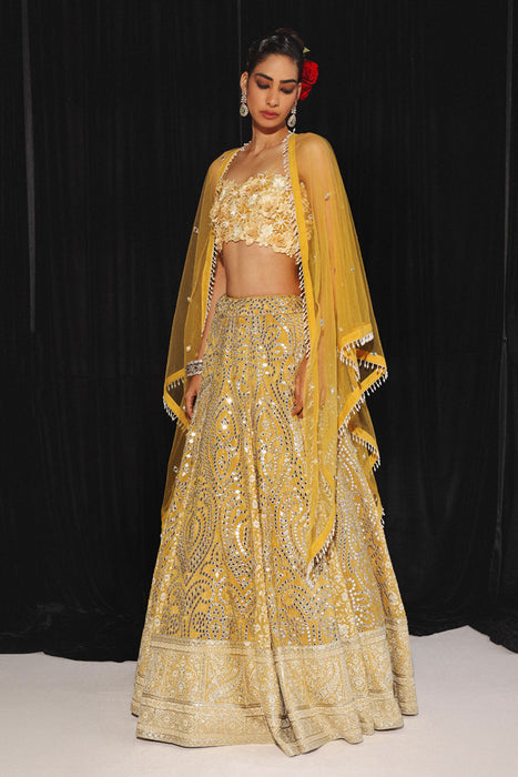 CHIKANKARI MIRRORWORK BOX PLEAT LEHENGA SET