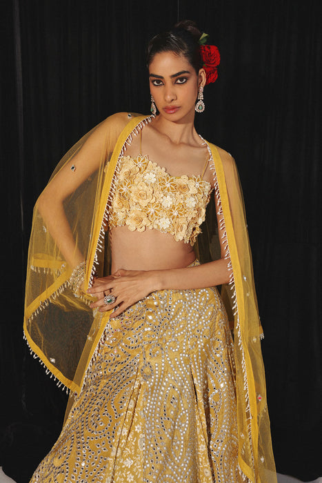 CHIKANKARI MIRRORWORK BOX PLEAT LEHENGA SET