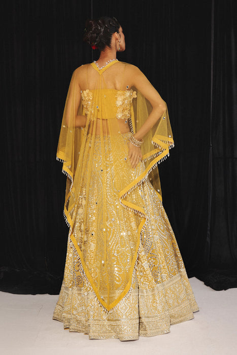 CHIKANKARI MIRRORWORK BOX PLEAT LEHENGA SET