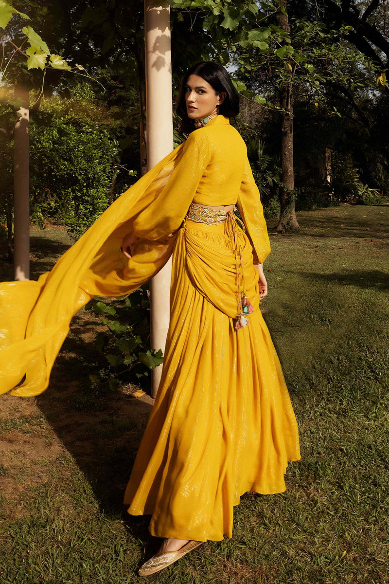 Amber Sharara Collared Saree Set