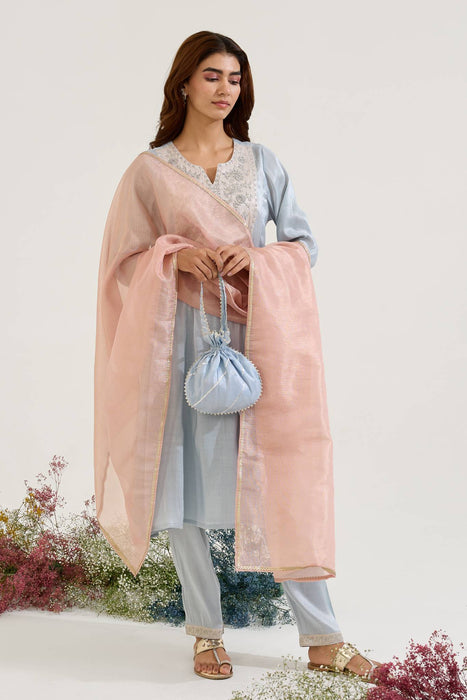 Sky Dori Tissue Anarkali with Narrow Pants and Dupatta - Set of 3