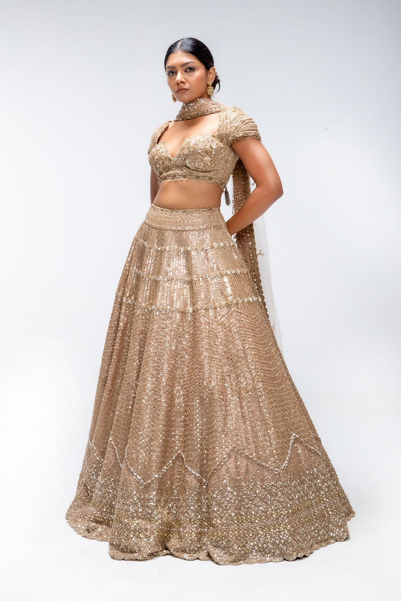 Golden Mirage Crest lehenga