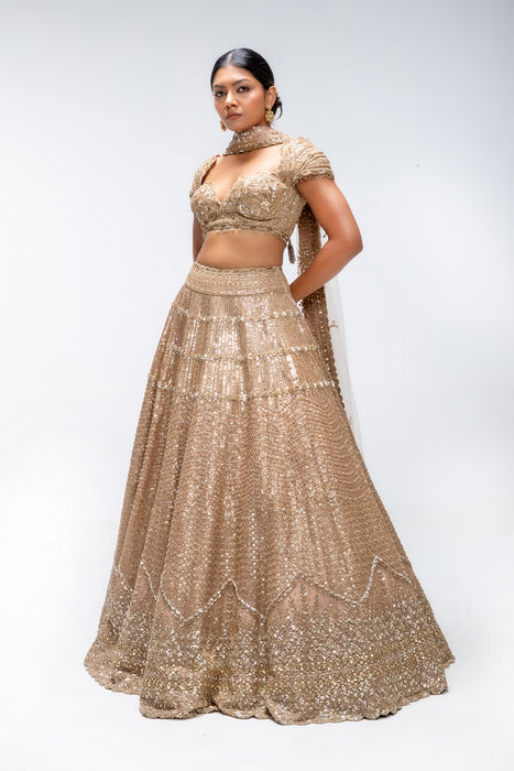Golden Mirage Crest lehenga