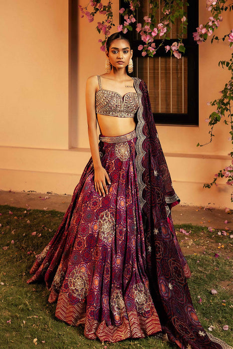 Aash Lehenga Set