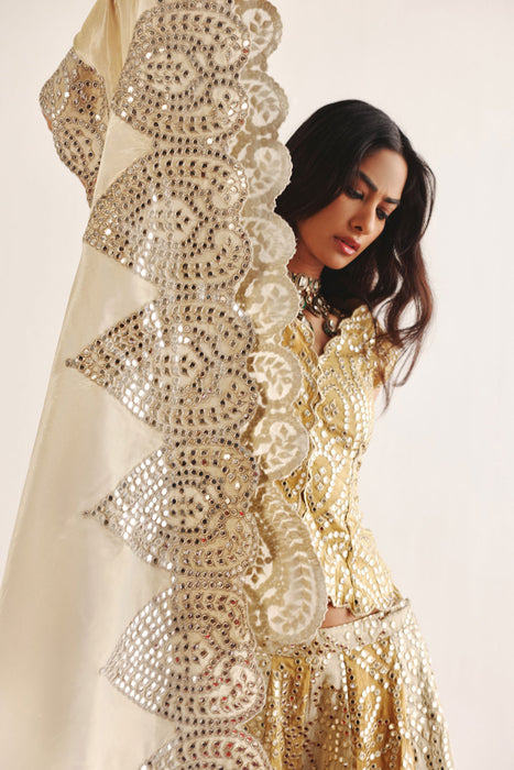 NET CAPE WITH APPLIQUEWORK