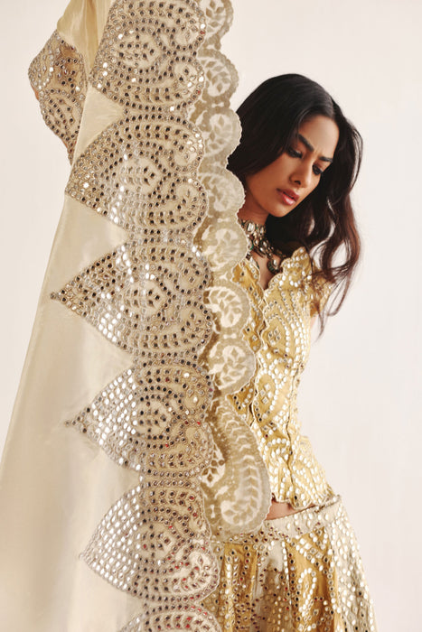 Dual Color Flared Shararas