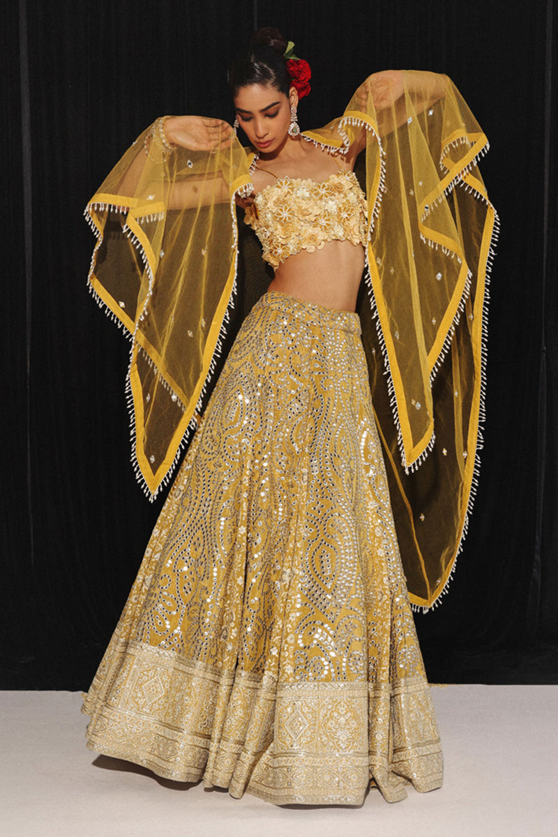 CHIKANKARI MIRRORWORK BOX PLEAT LEHENGA SET