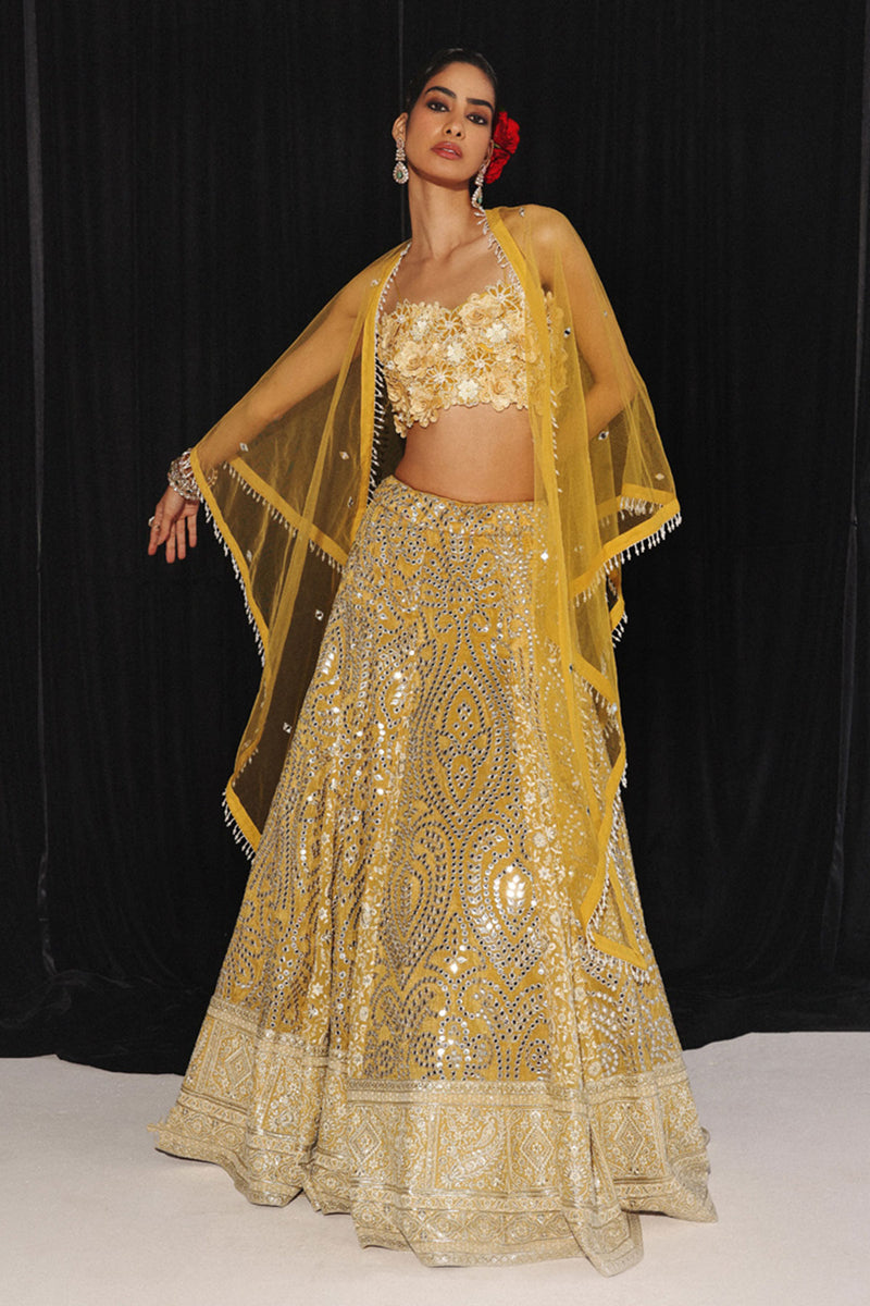CHIKANKARI MIRRORWORK BOX PLEAT LEHENGA SET