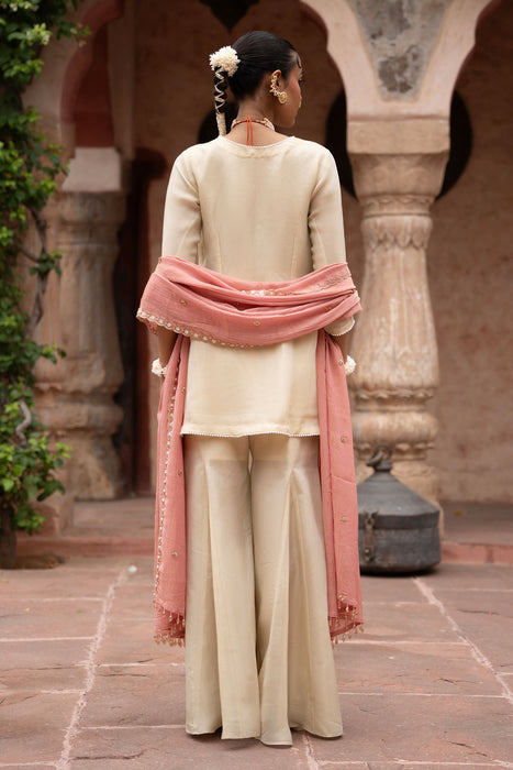 Gulbahaar Hand-Embroidered Gharara Set